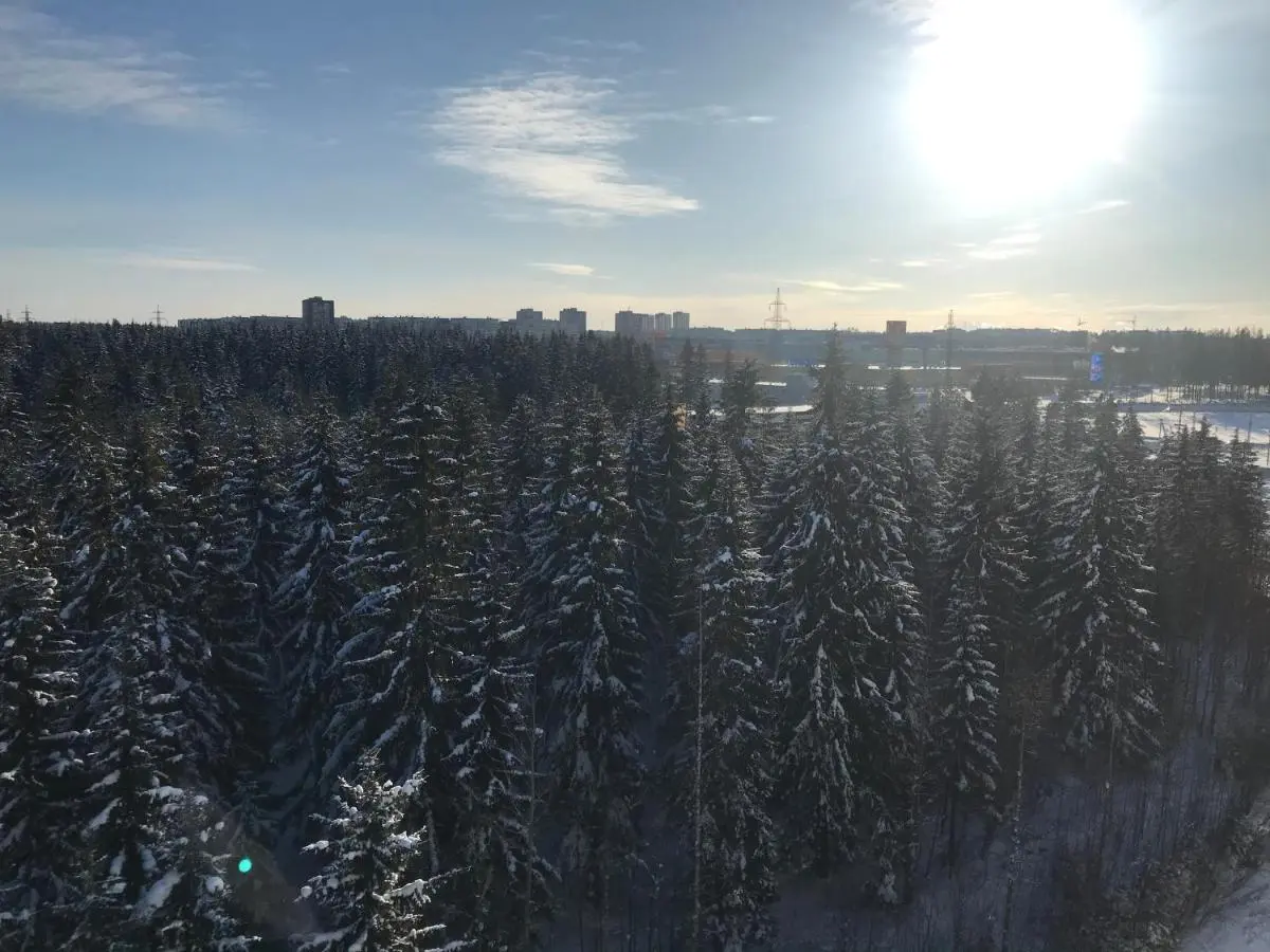 Петрозаводск: Апартаменты на Чапаева