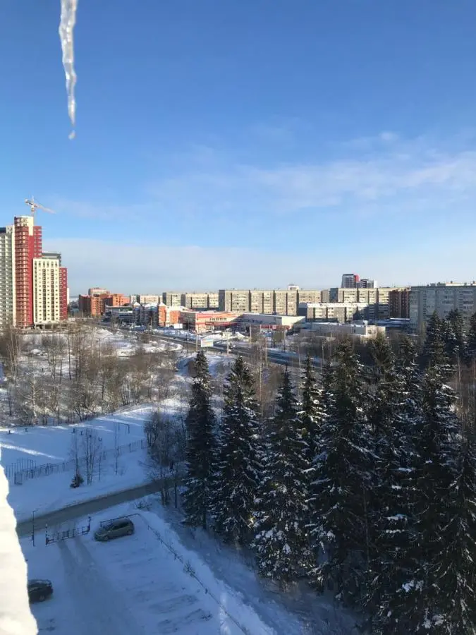 Петрозаводск: Апартаменты на Чапаева
