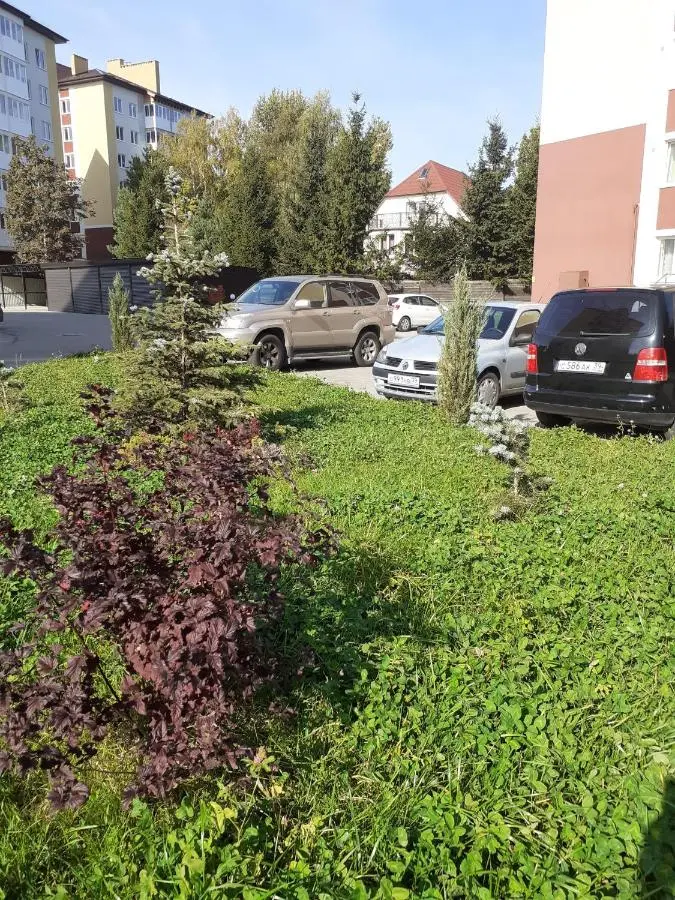 Светлогорск: Апартаменты в Светлогорске на ОЛИМПИЙСКОМ БУЛЬВАРЕ