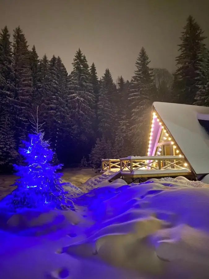 Сортавала: Villa LBerry A Черника у Ладоги