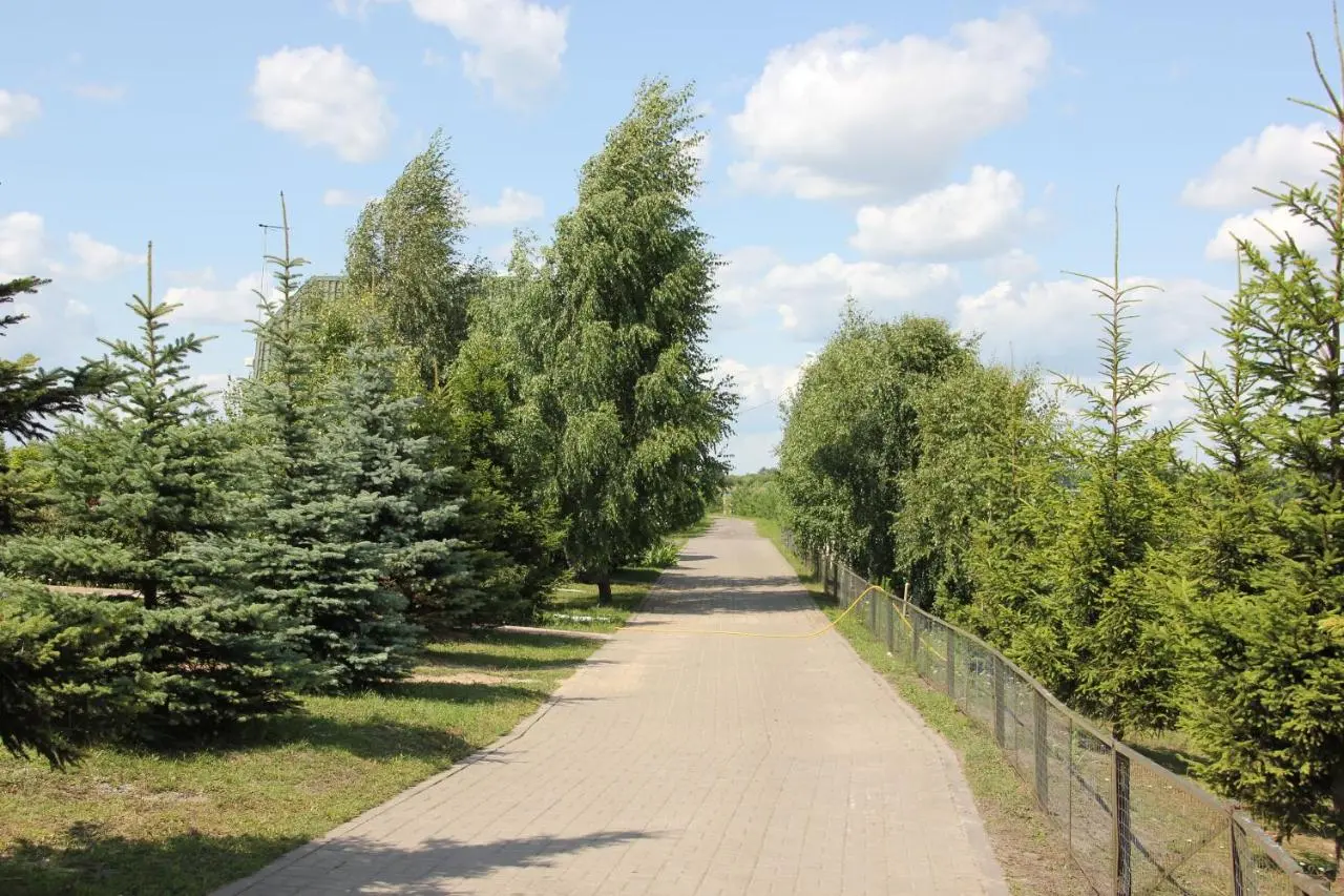 Павловичи: База отдыха Лукоморье