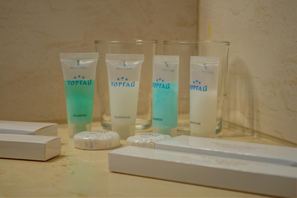 Астана: Topfau Torgai Hotel