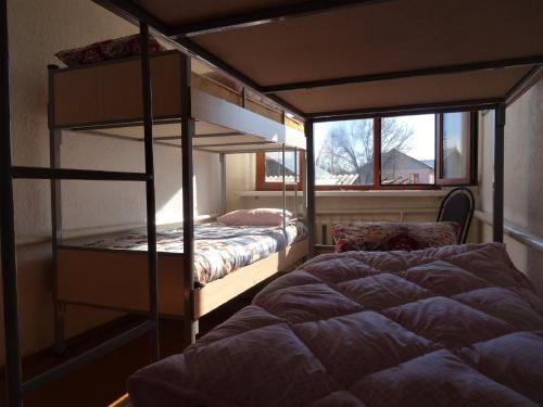 Шымкент: Shymart Hostel