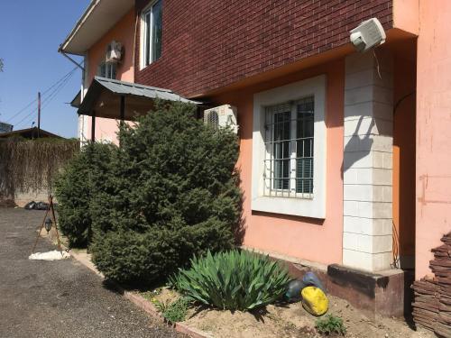 Алматы: Hostel Kok Tobe