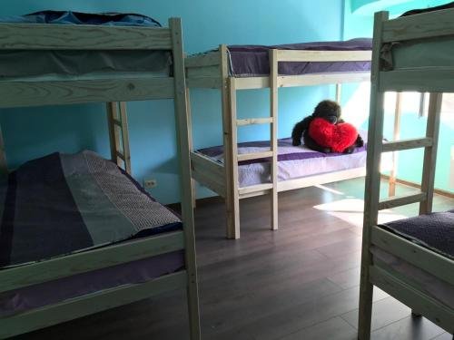 Алматы: Center Almaty Hostel