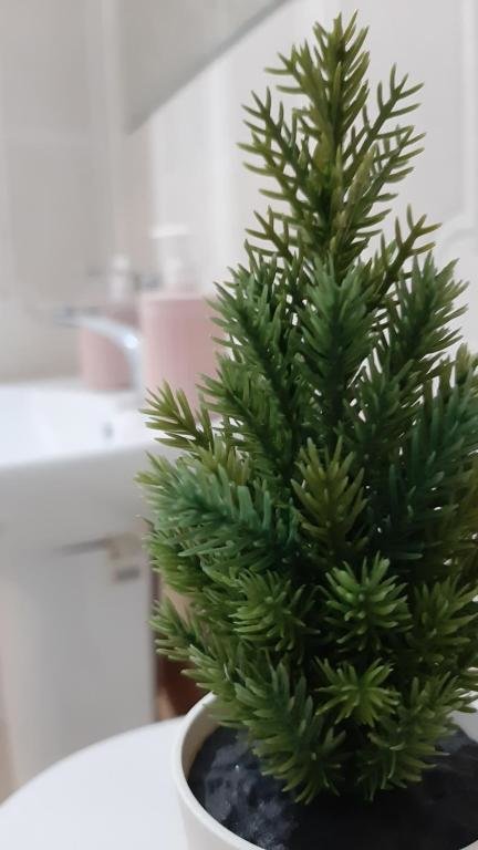 Семипалатинск: Elitnye apartamenty v Tsentre