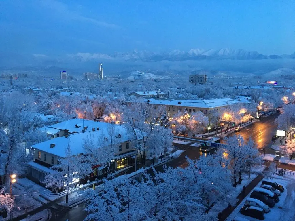 Алматы: "Kartina gornyh vershin" Kvartira- "Mountain view" Apartment