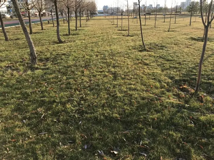 Астана: Korkem 3 near botanical garden