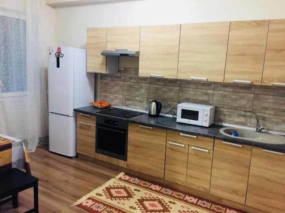 Астана: Apartment on Ye49 1