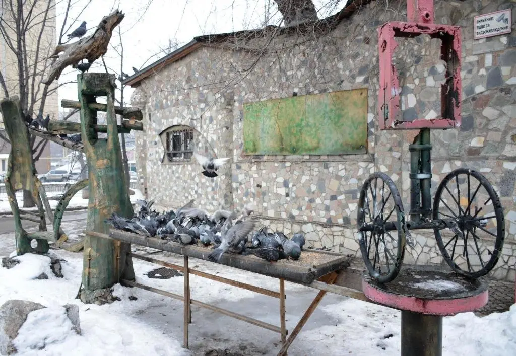 Алматы: 5 Rooms Hostel Almaty