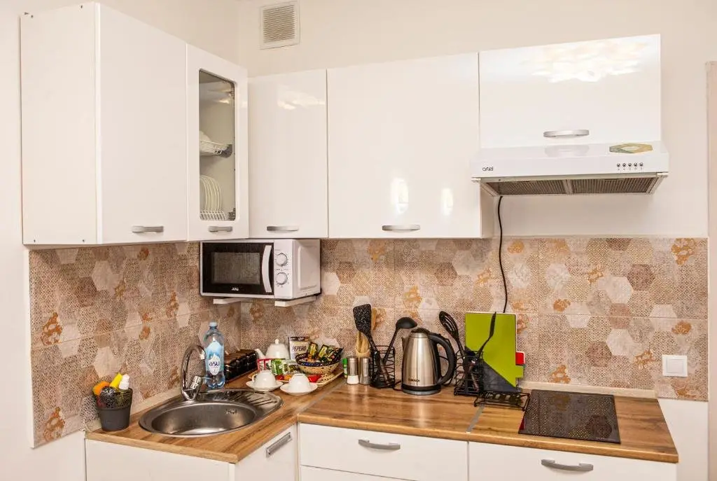 Алматы: Cozy studio apartment with mountain view