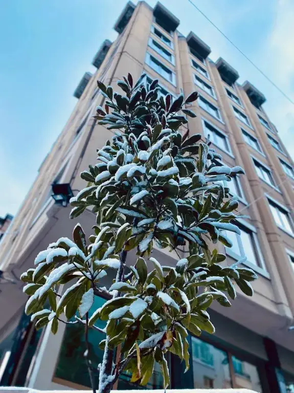 Стамбул: Riva Hotel Taksim
