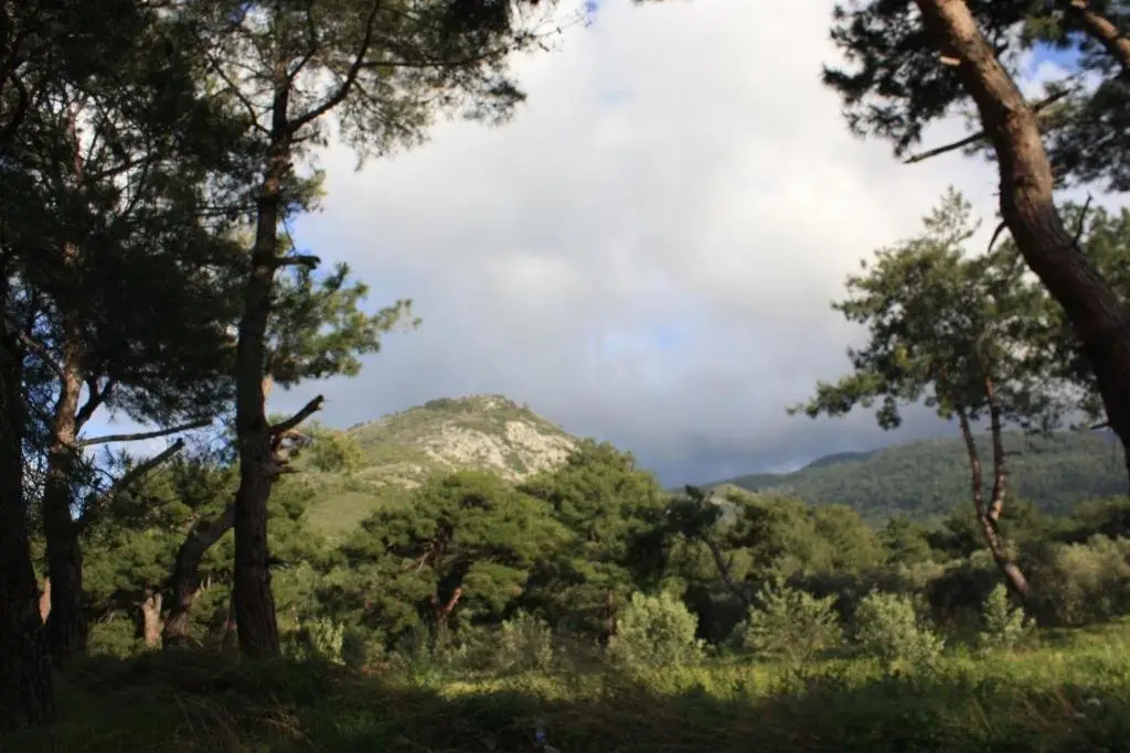 Гюзельчамлы: Samos Apart Pension