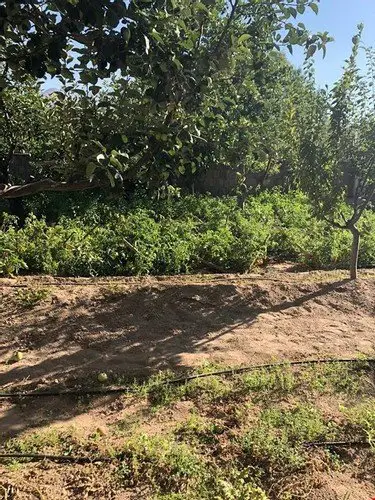 Кайсери: Becen Caravan Village