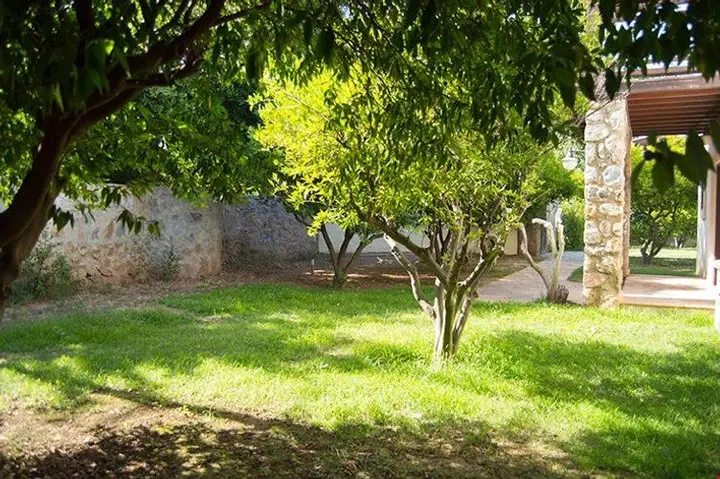 Битез: Bodrum Bitez BD460