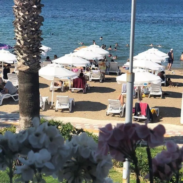 Helvaci: Yeni Foca Ala Otel