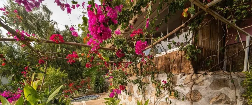 Фетхие: Begonvilla Bungalows
