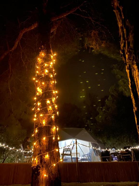 Helvaci: Foca Dome Glamping Suits