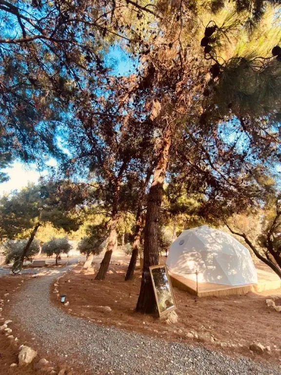 Helvaci: Foca Dome Glamping Suits
