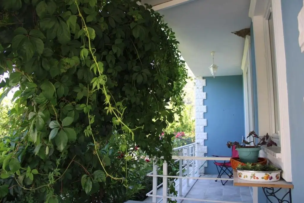 Дальян: Villa Dionyssos