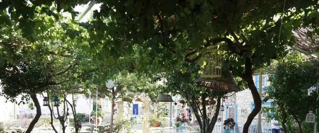Чешме: Ayşece Butik Otel