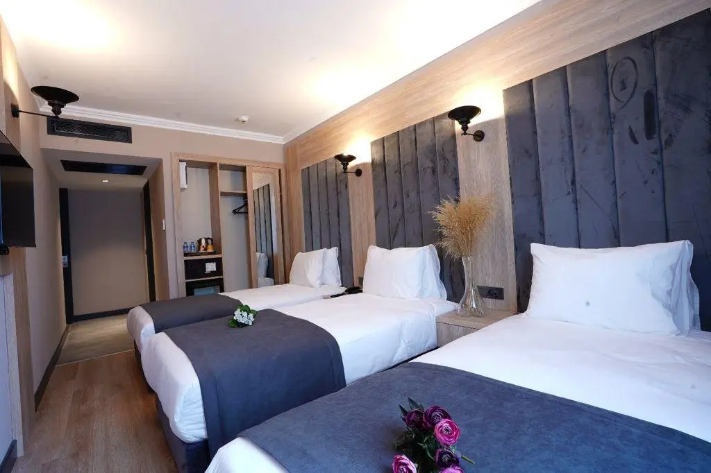 Стамбул: Mineo Hotel Taksim