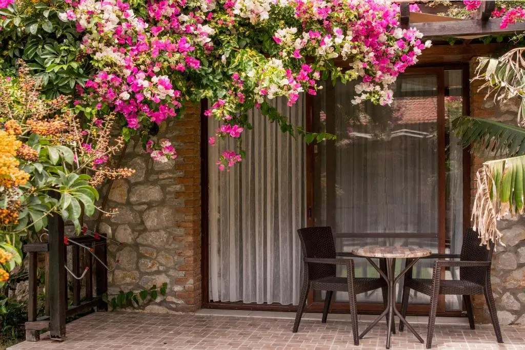 Кумлюбюк: Suna House Butik Otel