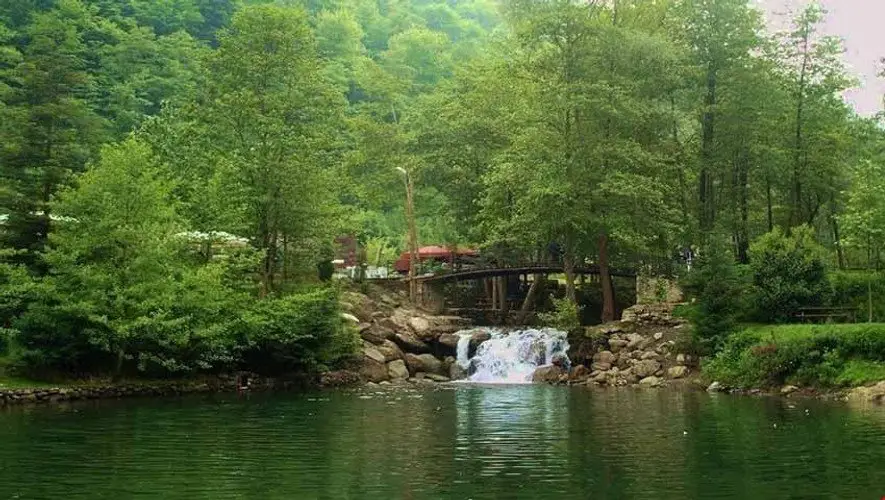 Янык: Yesil Vadi Sapanca