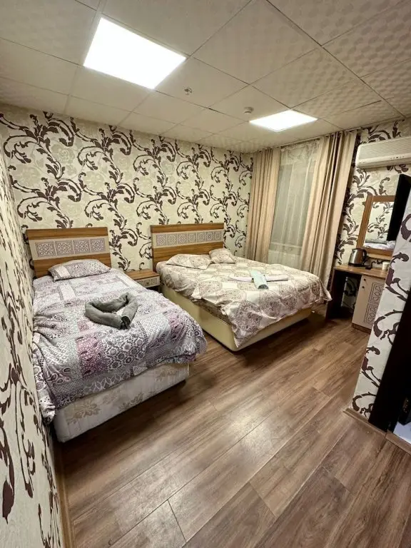 Стамбул: Camellia Hotel