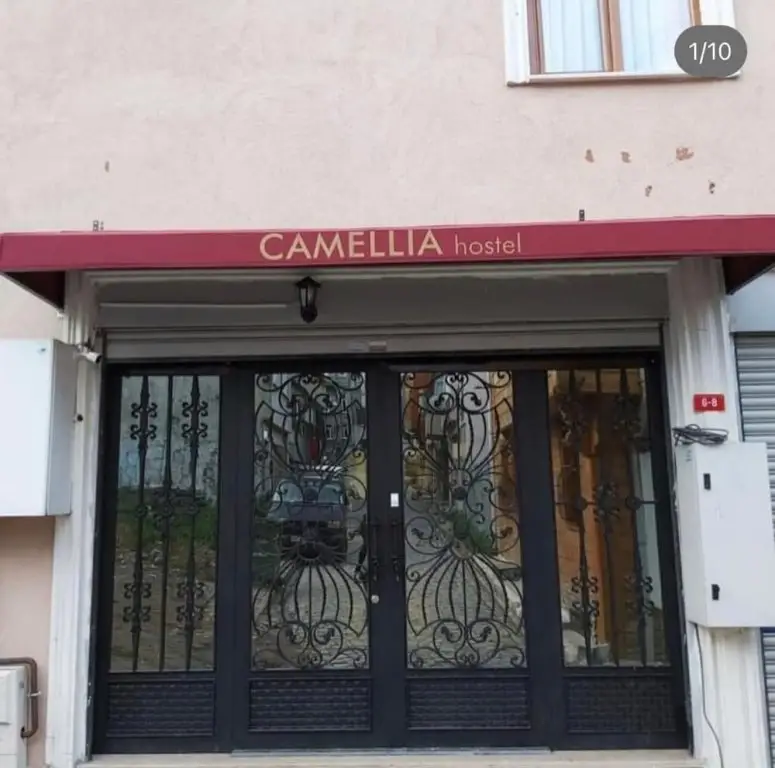 Стамбул: Camellia Hotel
