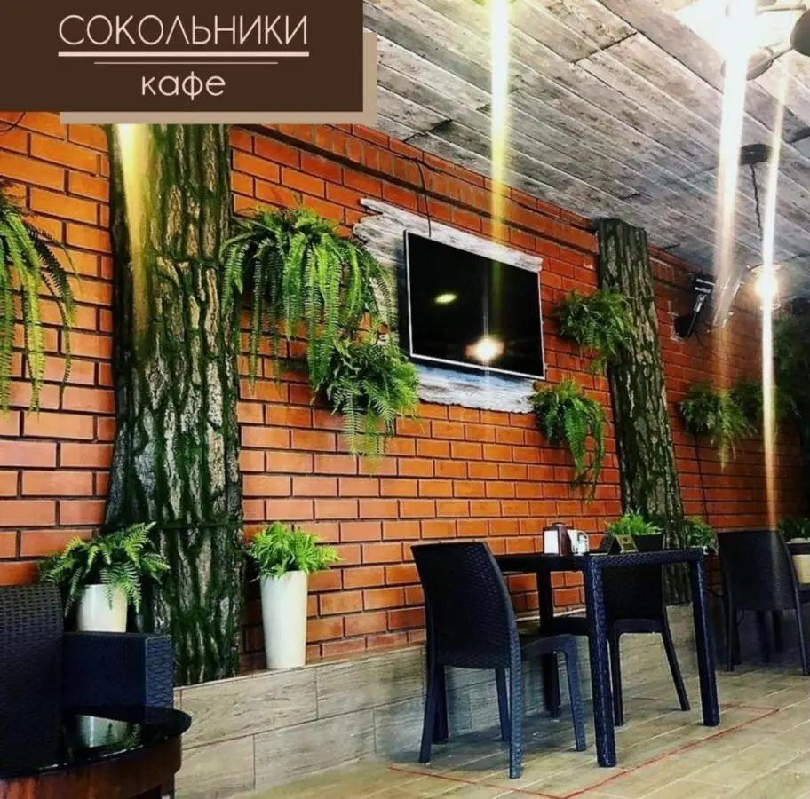 Хабаровск: Гостиница Сокольники