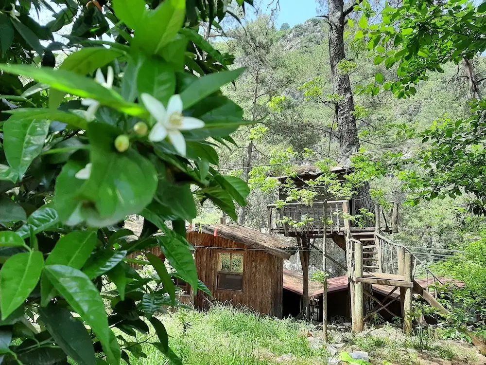 Кумлуджа: Olympos Altaris Pansiyon