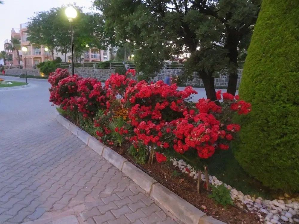 Агацлы: W. Residences Kusadasi Golf & Spa Private Apartment