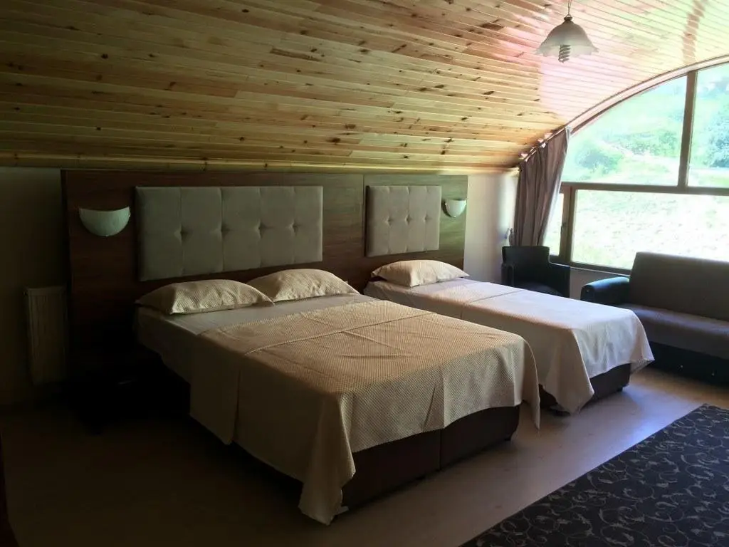 Гюмюшхане: Hamsiköy Butik Otel