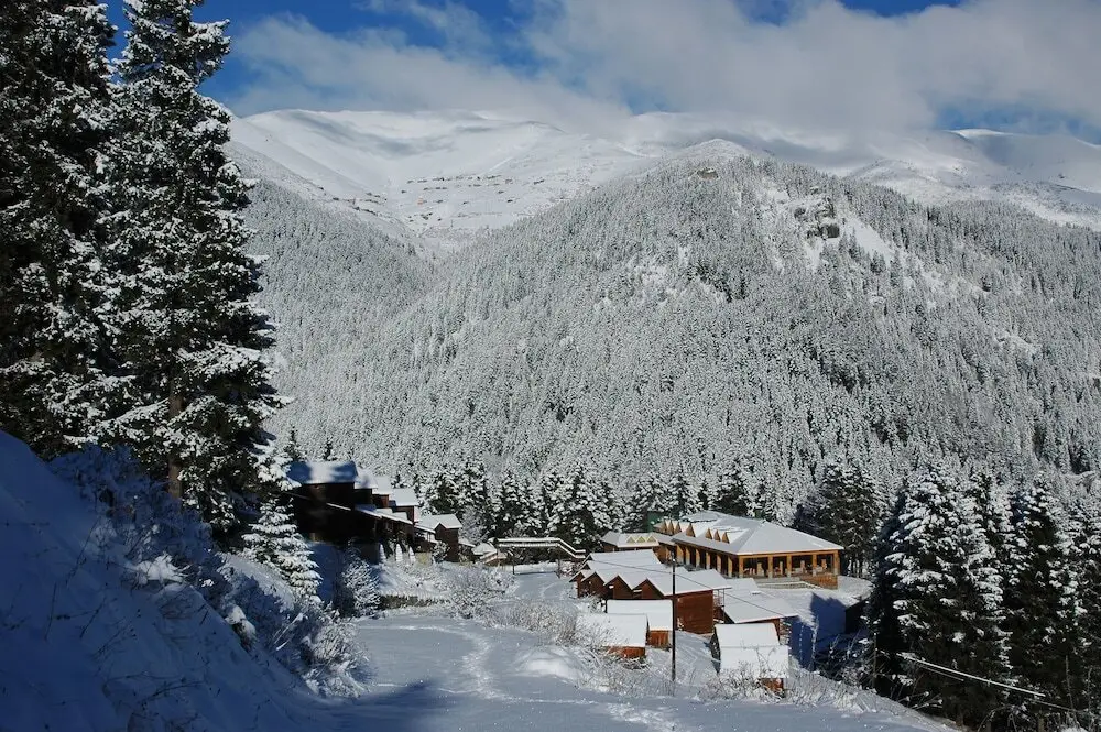 Гюмюшхане: Zitas Zigana Holiday Resort