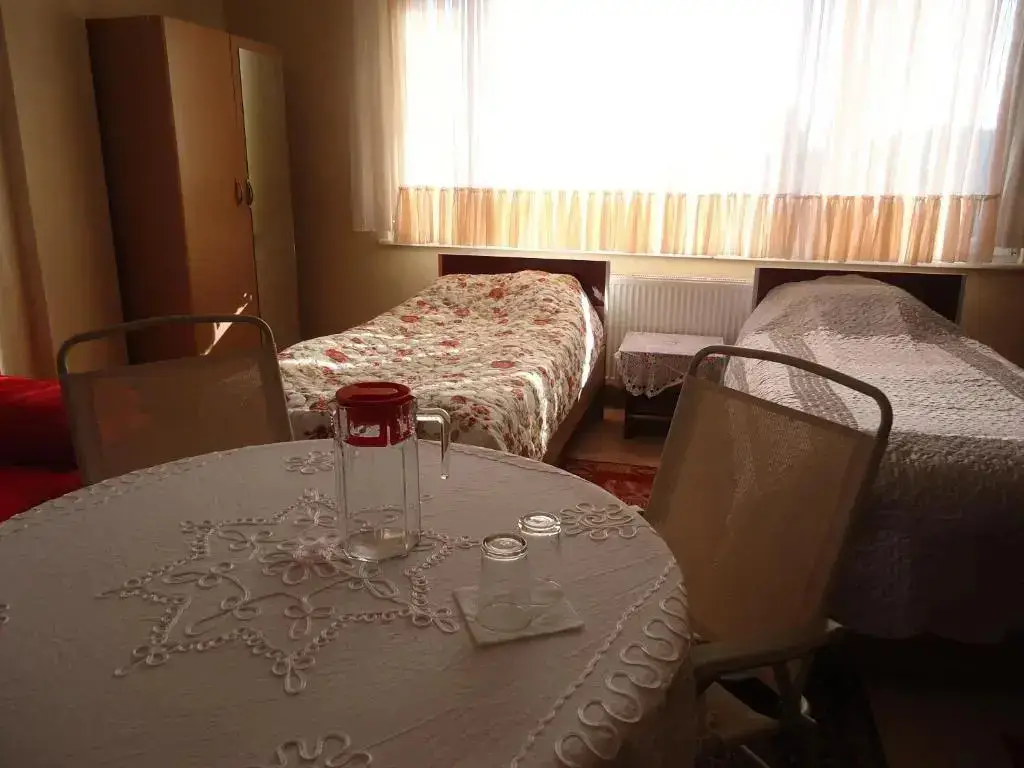 Орду: Ekolojik Güney Köy Pembe Köşk