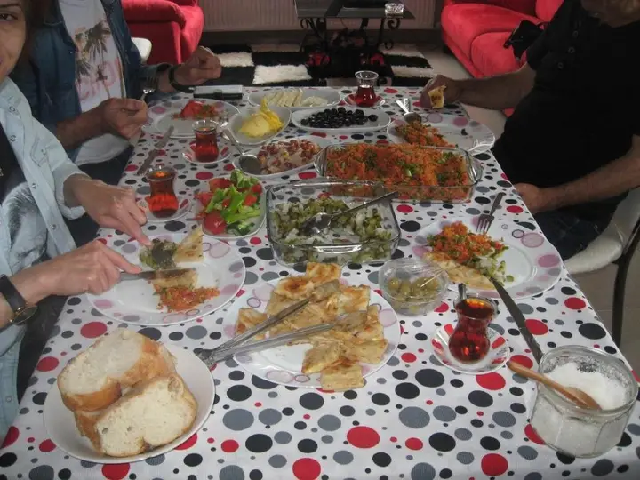 Орду: Ekolojik Güney Köy Pembe Köşk