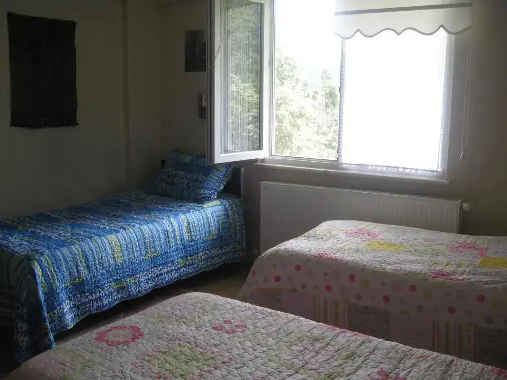 Орду: Ekolojik Güney Köy Pembe Köşk