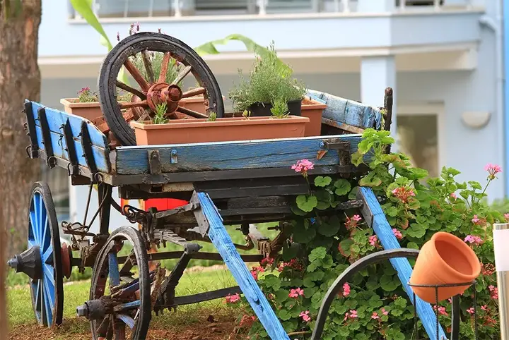 Фетхие: Отель Daisy Garden Resort