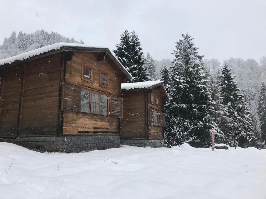 Чамлыхемшин: Ayder Kardelen Bungalov