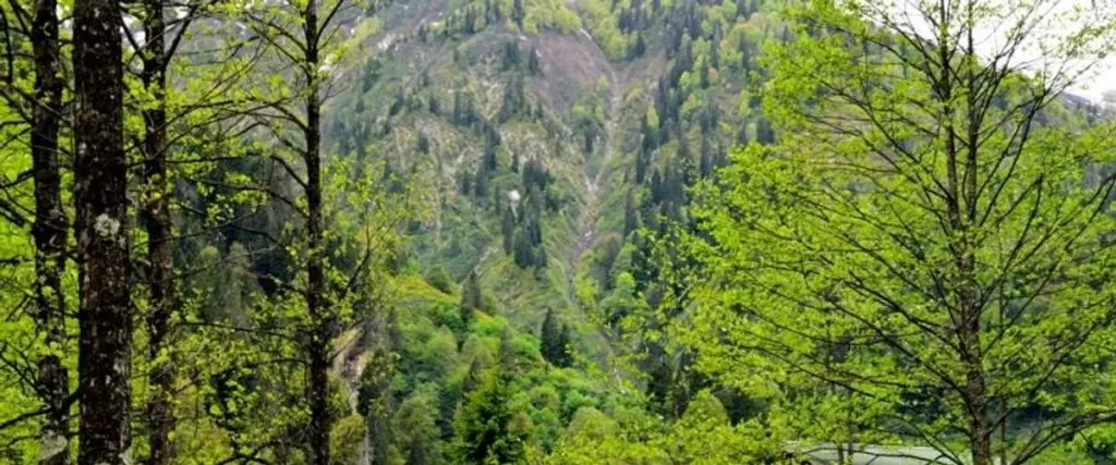 Чамлыхемшин: Ayder Kardelen Bungalov
