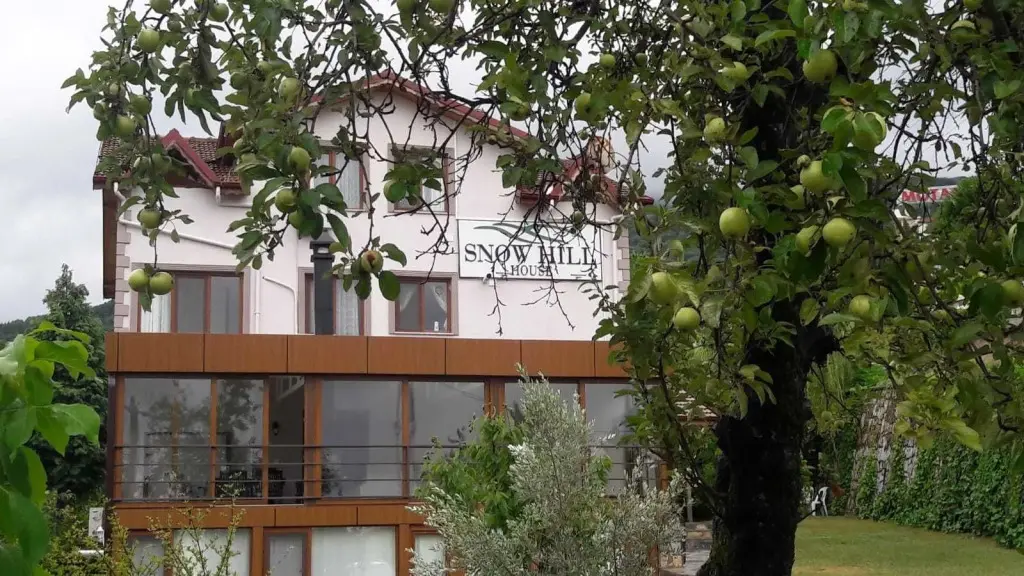 Янык: Snow Hill House Apart Otel