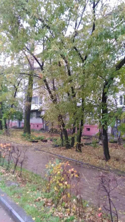Хабаровск: Apartments Leningradskiy 11