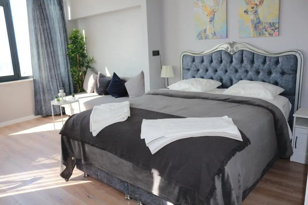 Стамбул: Vesta Resort Buti̇k Hotel