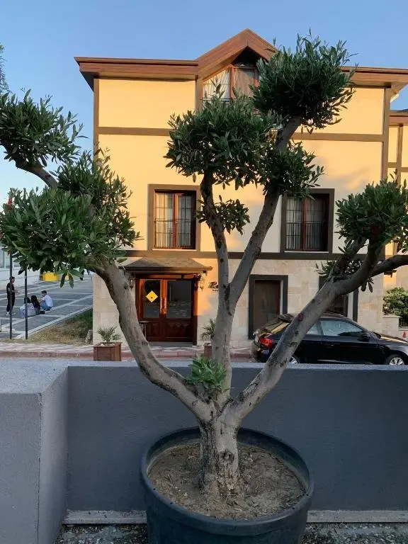 Эдремит: Akcayzeytin Otel