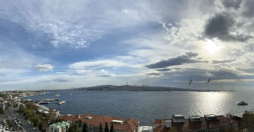 Стамбул: Aveline | Beyoglu
