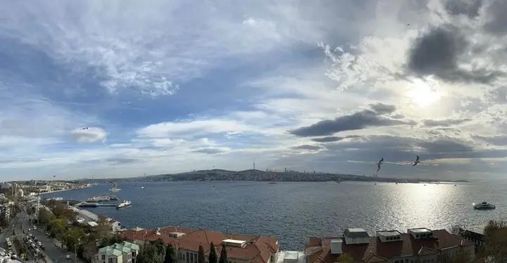 Стамбул: Aveline | Beyoglu