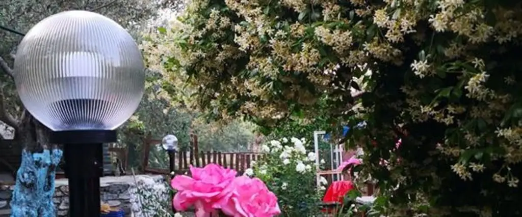 Эдремит: Zeytin Dagi Bungalow