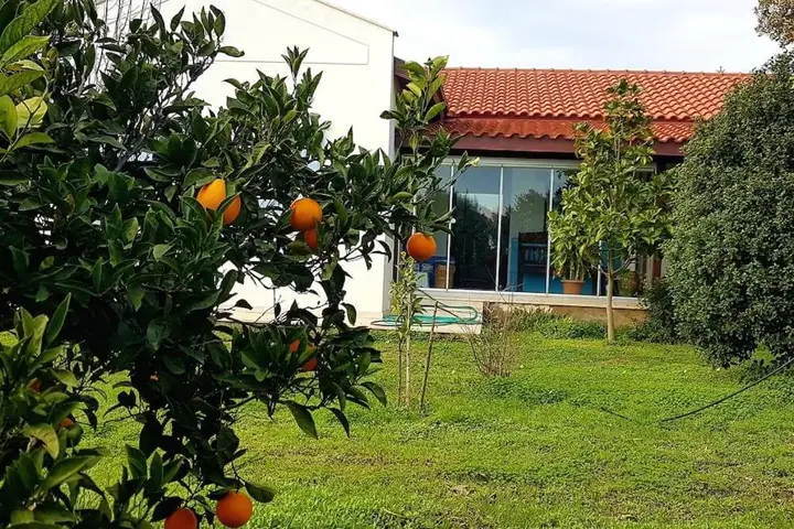 Датча: Villa Nar