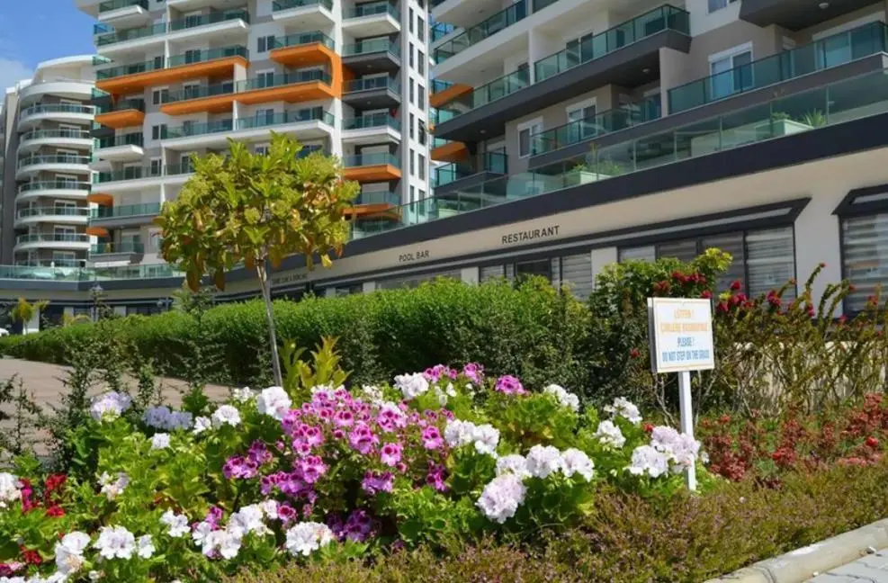 Аланья: Exclusive Apartment Olive Garden Avsallar